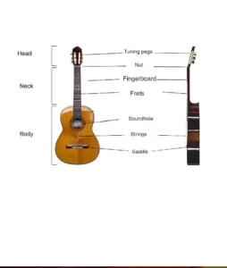 New Instrument of the month, The Guitar