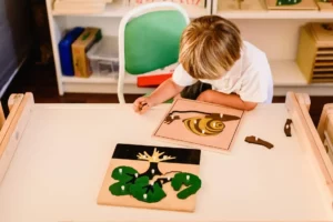 Montessori Philosophy